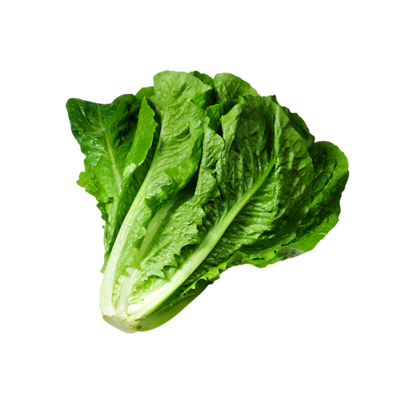 Lettuce