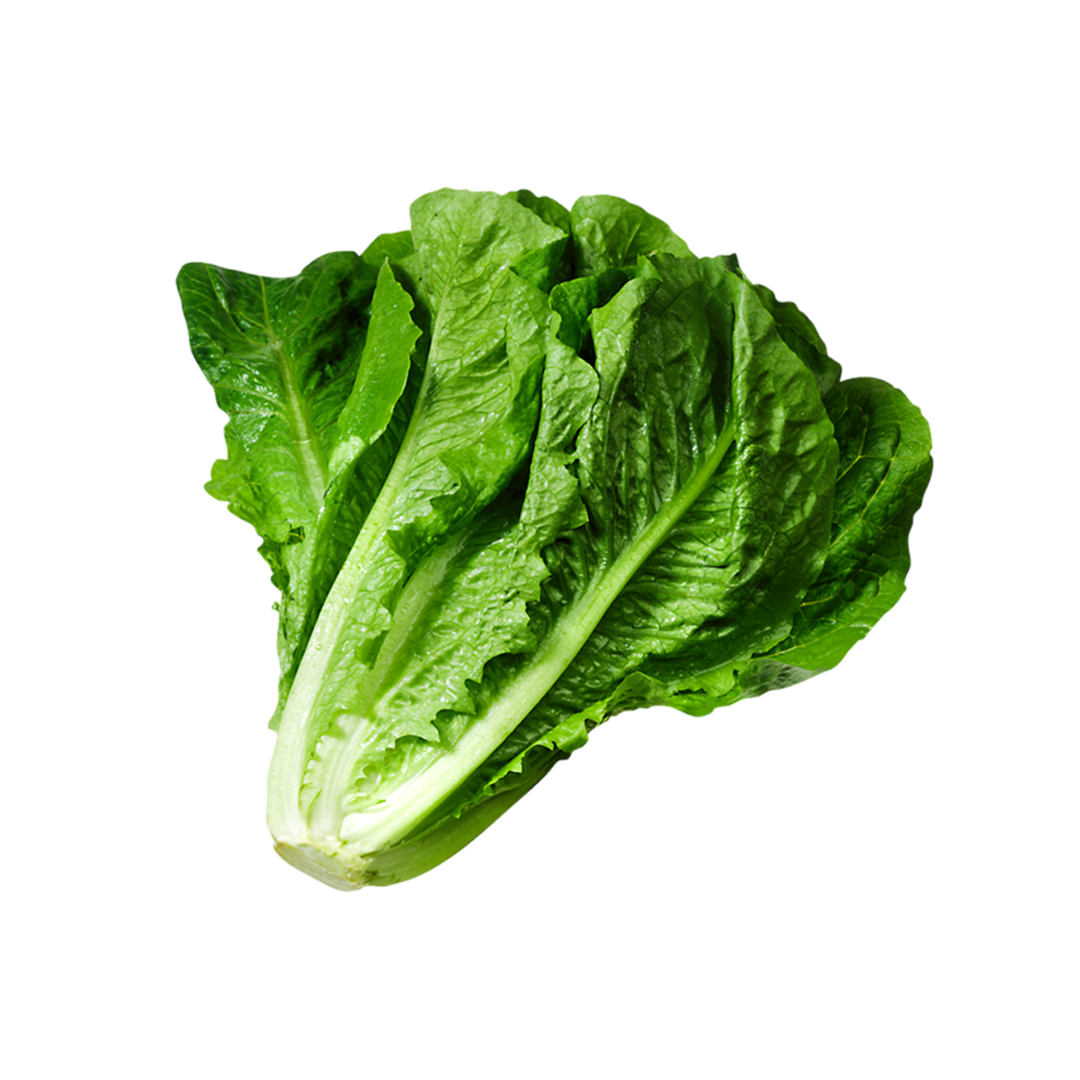 Lettuce